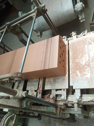 briques coupes en 5 cm de haut
